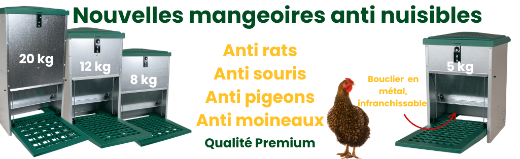 Mangeoires anti nuisibles pour volaille